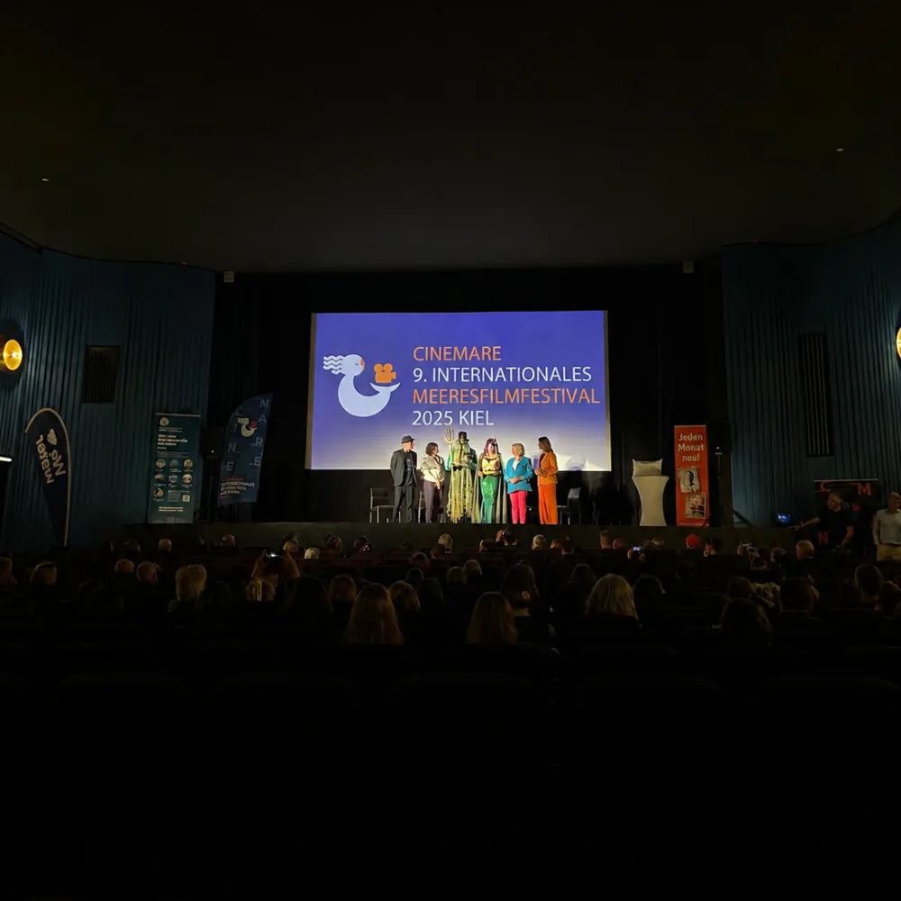 Cinemare – Webdesign & SEO von nopo.