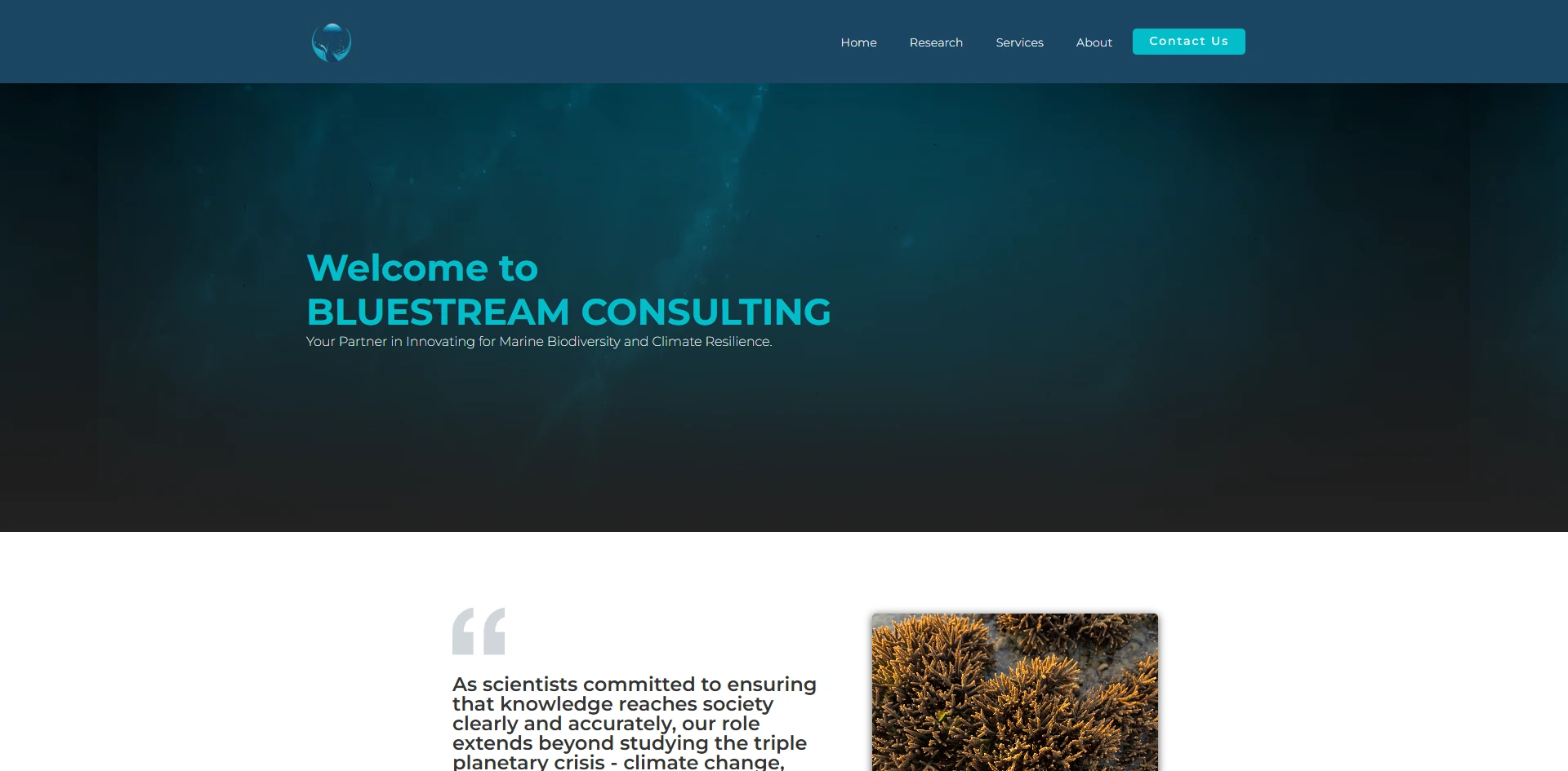 Bluestream Consulting – Website